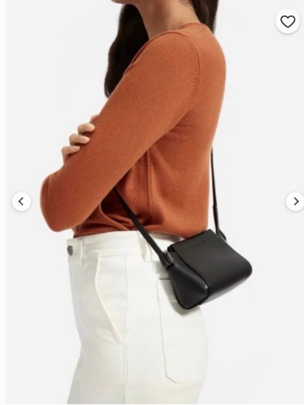 EUC Everlane Micro Black Leather Crossbody bag